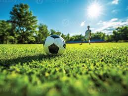 学习研究足球知识场景